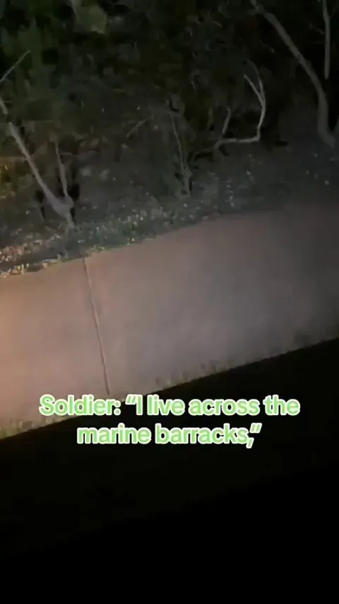 Marines in their natural habitat