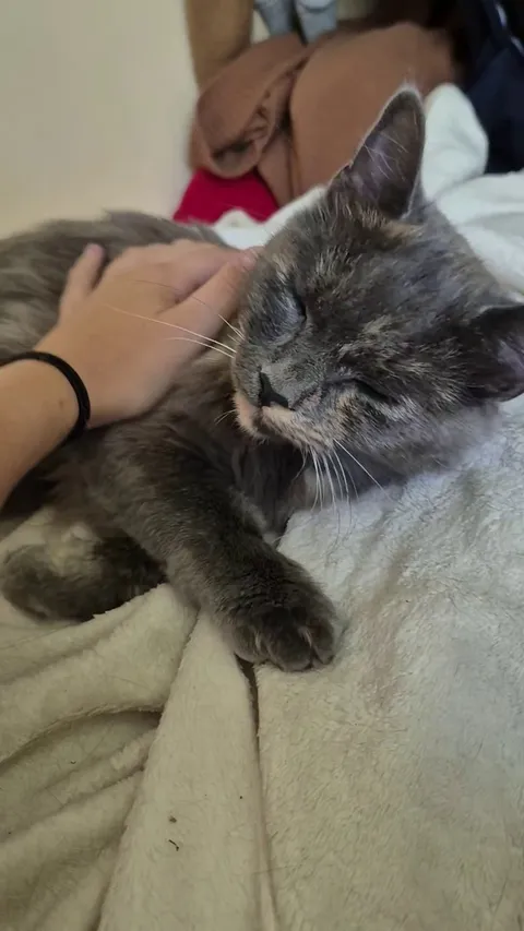 The end when she wraps her back leg around my hand 🥹 How can I ever get up again