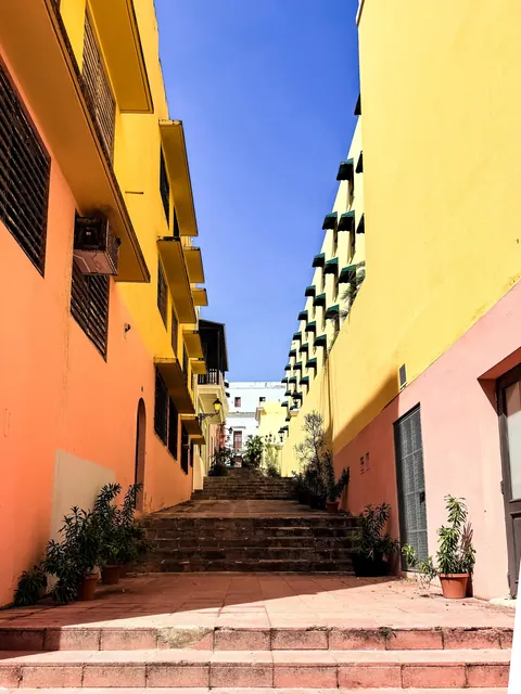 Puerto Rico Highlights from Our Family Trip 🇵🇷