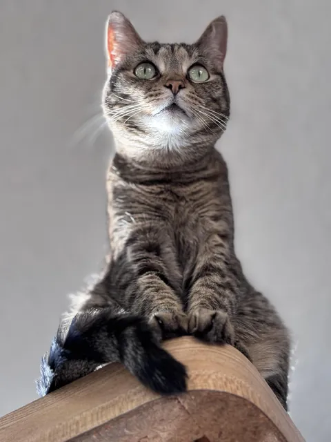 I laid down on the floor for this