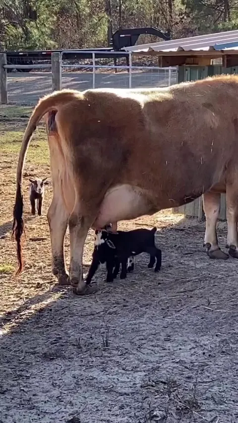 Thanks Bessie, I’ll be back to pick up the kids in an hour