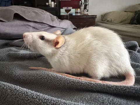 Can you believe this little dude is 3.5???