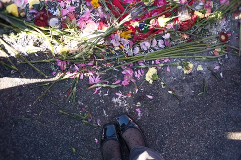 [OC] Alex Pretti memorial 1/28