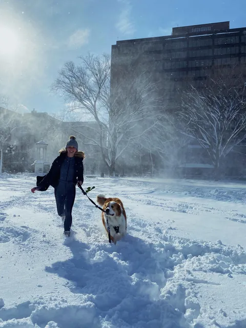 Lily Lotte the Orange Dreamsicle