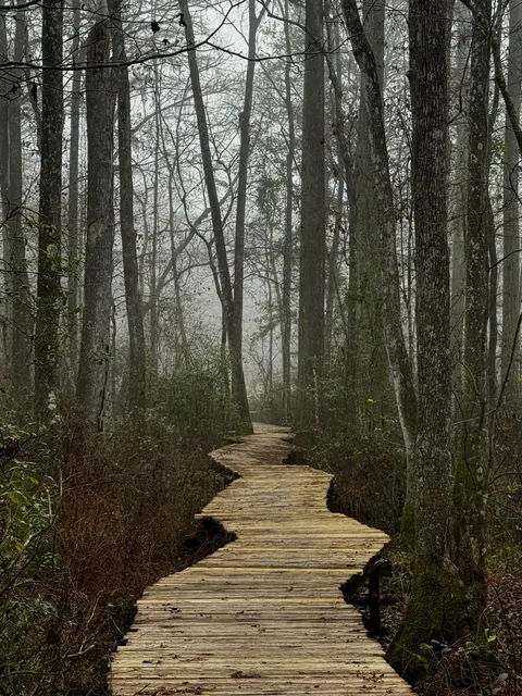 ITAP of a boardwalk