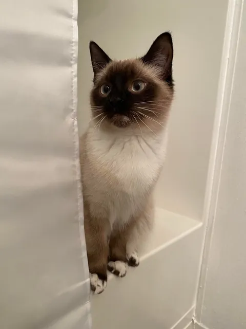 I didn’t know it would be our last day together