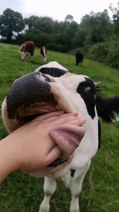 Panda thinks she's a carnivore