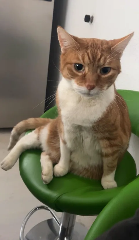 Everybody wish him luck!!