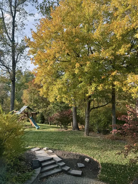 A view from the kitchen sink