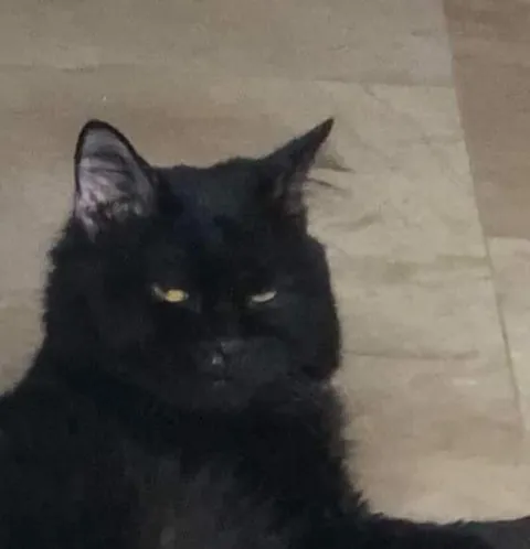 I lost my buddy a week ago.