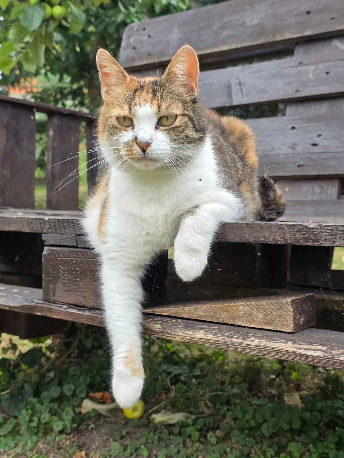 My best friend went missing 9 days ago