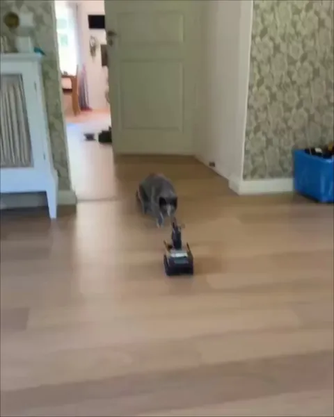 John Catnor : Rising against the machines