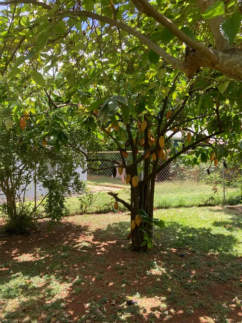 [Homemade] 72% Chocolate