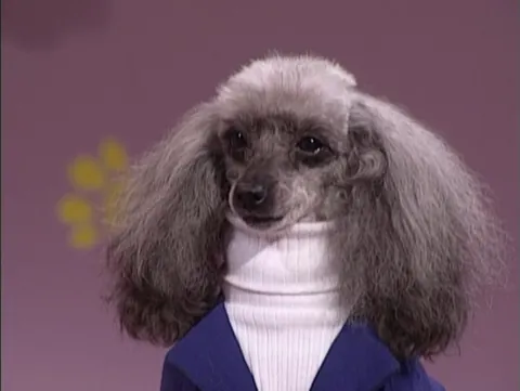 Images of Vintage Weirdness, 1904-1980s