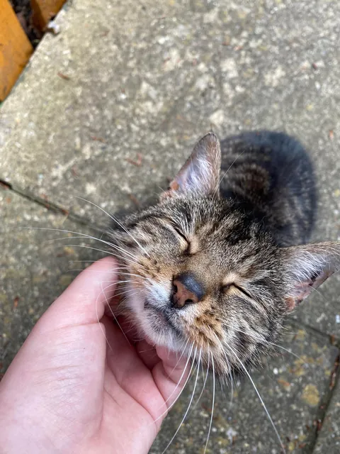 Had to send my 23 year old girl to sleep:(