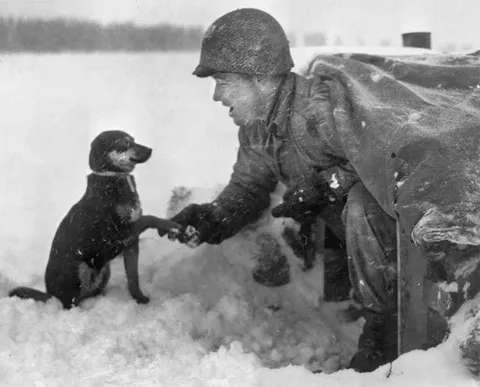 This soldier shaking hands with another soldier (WW2)