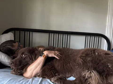 Management authorized nap