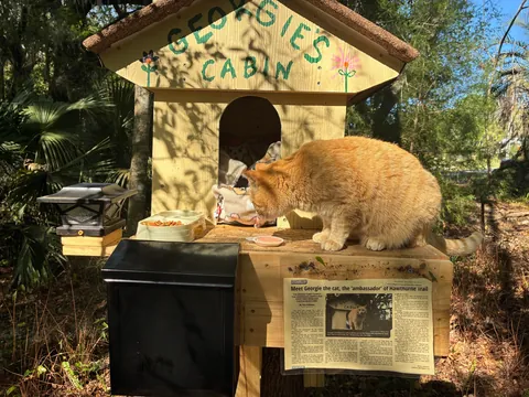 Meet Georgie everyone- A trailhead ambassador!