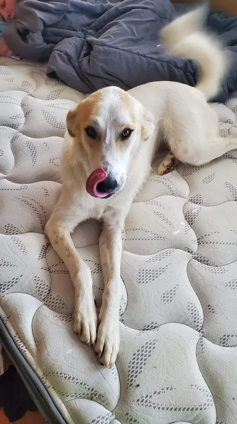 I love her with all of my heart