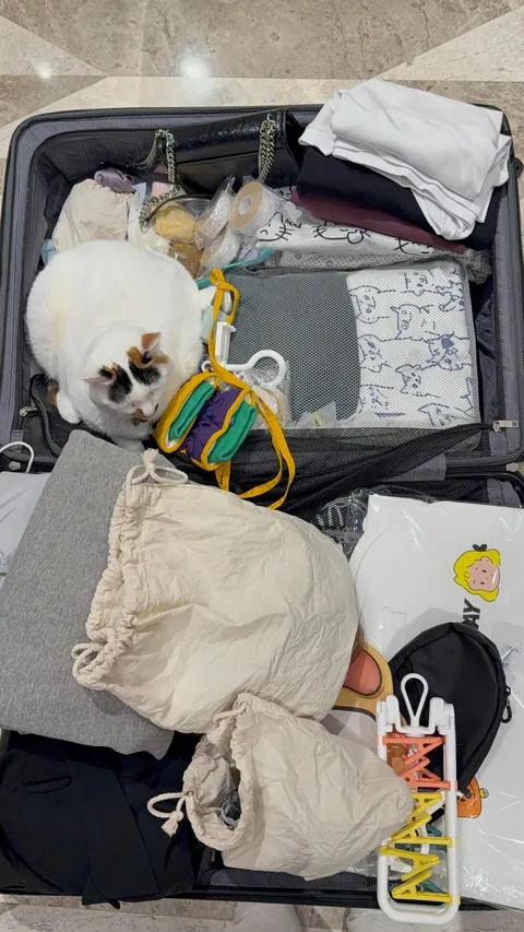 My cat packed herself so I won’t leave 😭