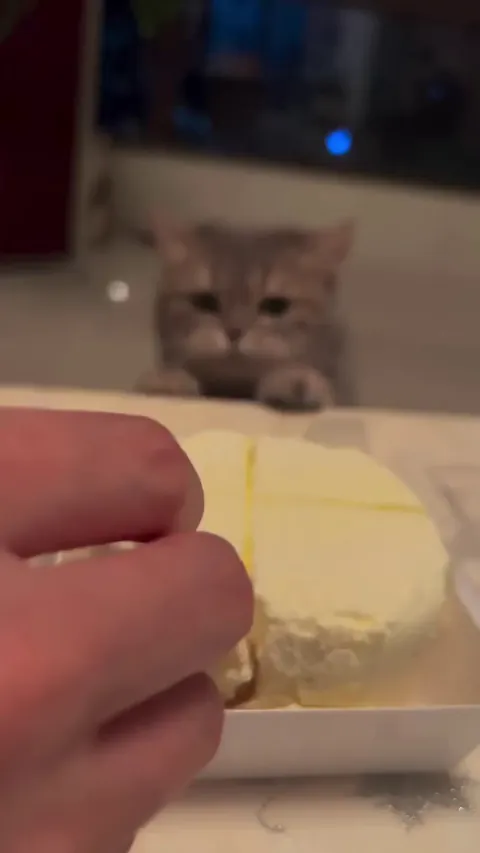 Overzealous Taste tester