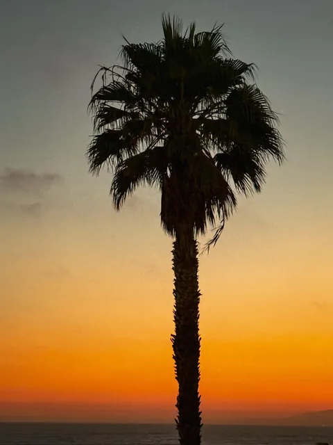 First time on the West Coast: 3 days in LA and I actually loved it