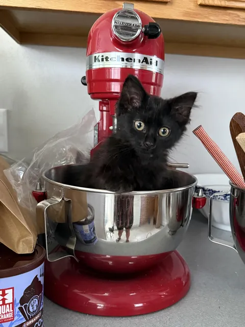 New stand mixer attachment seems impractical.