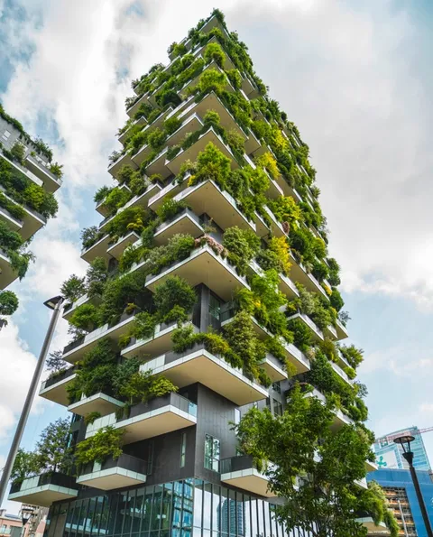 Vertical forest: Around 900 trees grow on the facades of two residential towers in the centre of Milan [568x704]