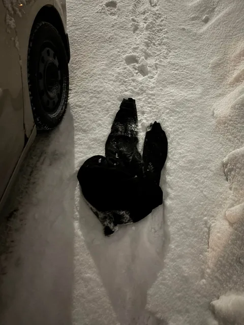 I live alone, someone just tried to enter my house. When looked outside a bottle of booze and sweater were by my car.