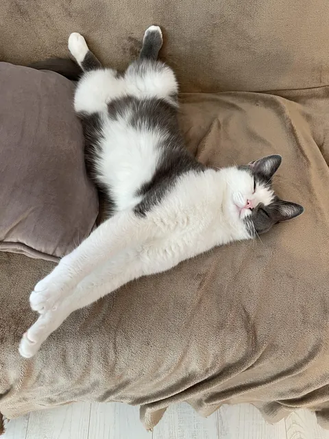 my little princess is relaxing