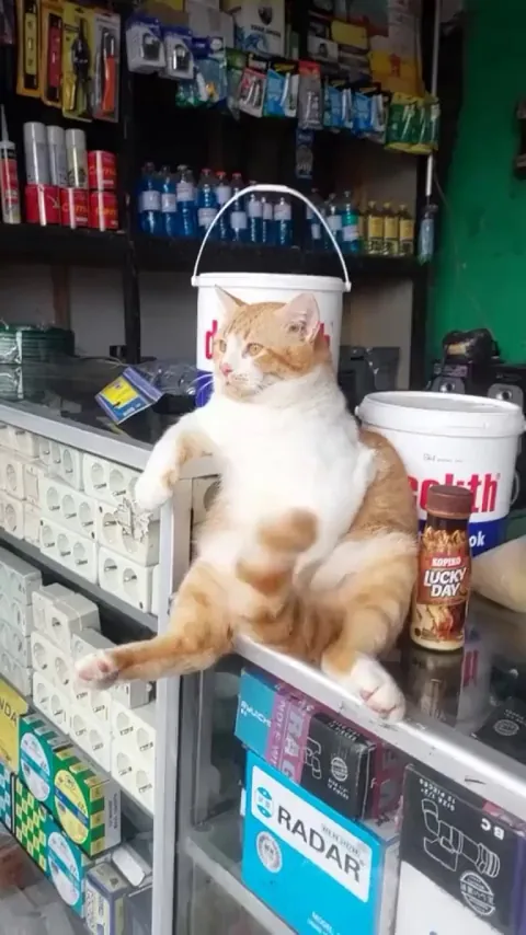 I think he's the store owner.
