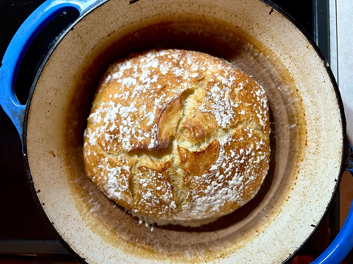Mozzarella, tomato, and pesto melt on [homemade] bread