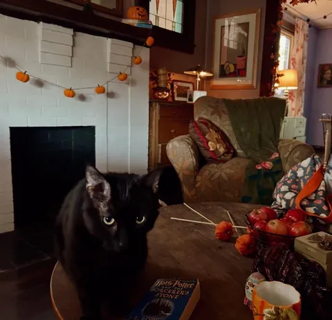 I just love Halloween 🐈‍⬛🎃🍁