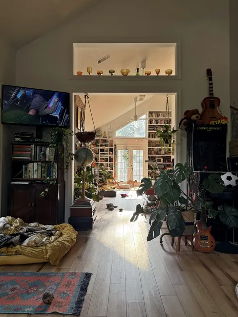 current view from my bed…with a dog at the door leading to a pool…