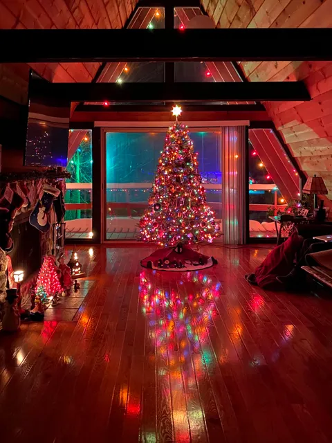 This is my parents’ living room; I’ve loved every Christmas in this room. This was my view at 4:00 am every Christmas.