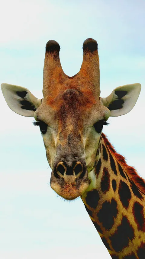 December in Botswana