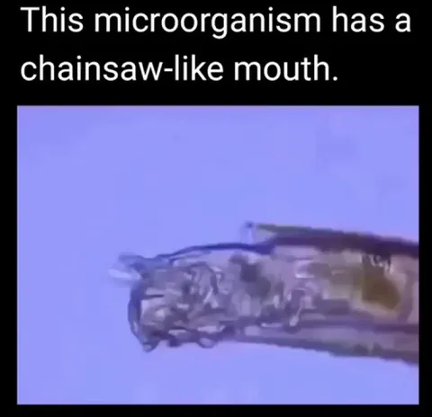 🔥 Microorganism with Chainsaw-like mouth