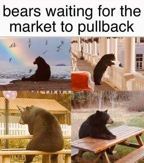 Good old days 🐻
