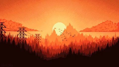 Sunset forest