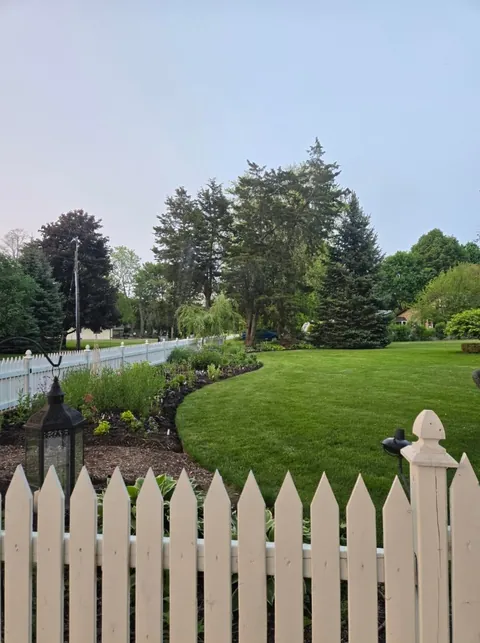 Second year cottage garden