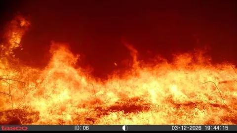 A trail cam that went through a wild fire in Nebraska it survived and took photos