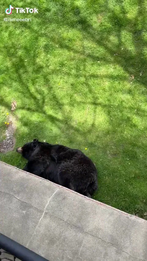 That's a big stretch.