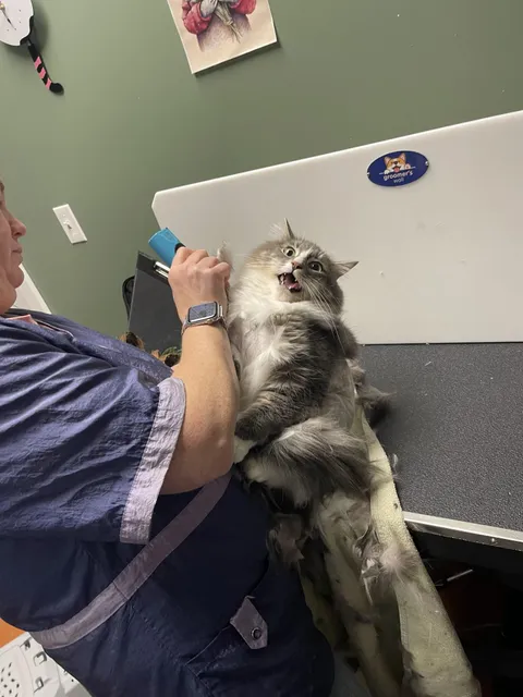 First shave for our little man!