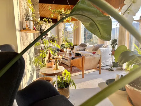 View of my jungle this morning.