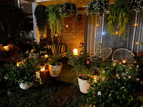 Our garden without a garden. (Repost) everything is in planters