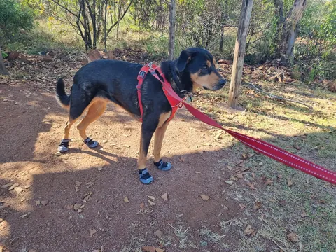 Took my boy camping a little while ago