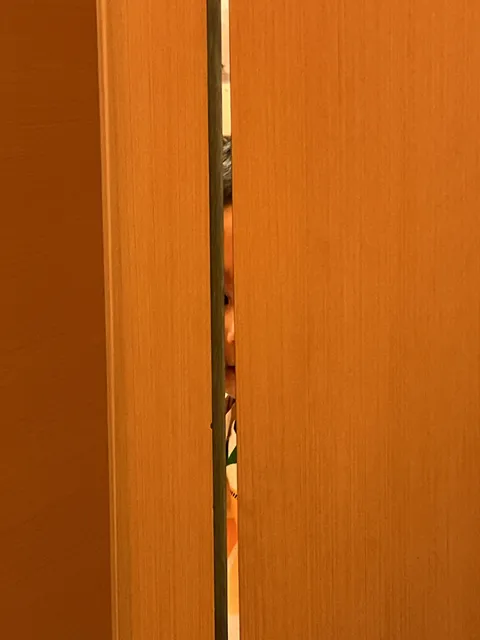 Snotty kid looking into my bathroom stall at the airport