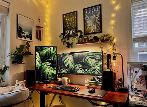 Just moved, any ideas for improvement? 