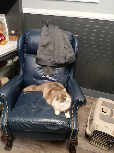 Delivered a pizza and came home with the best tip ever