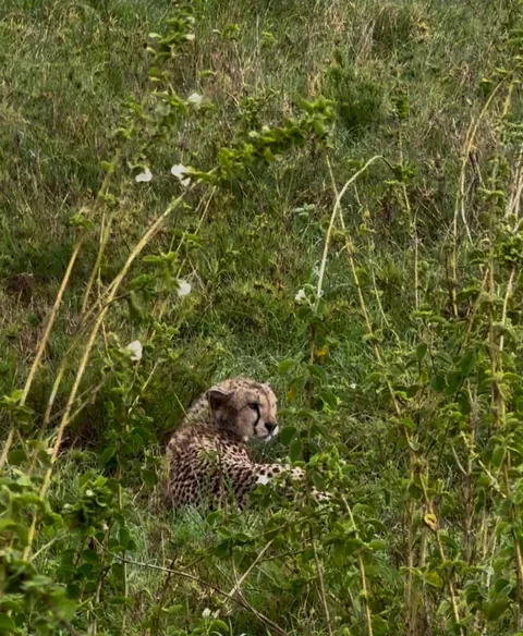 2 weeks of a dream in Tanzania